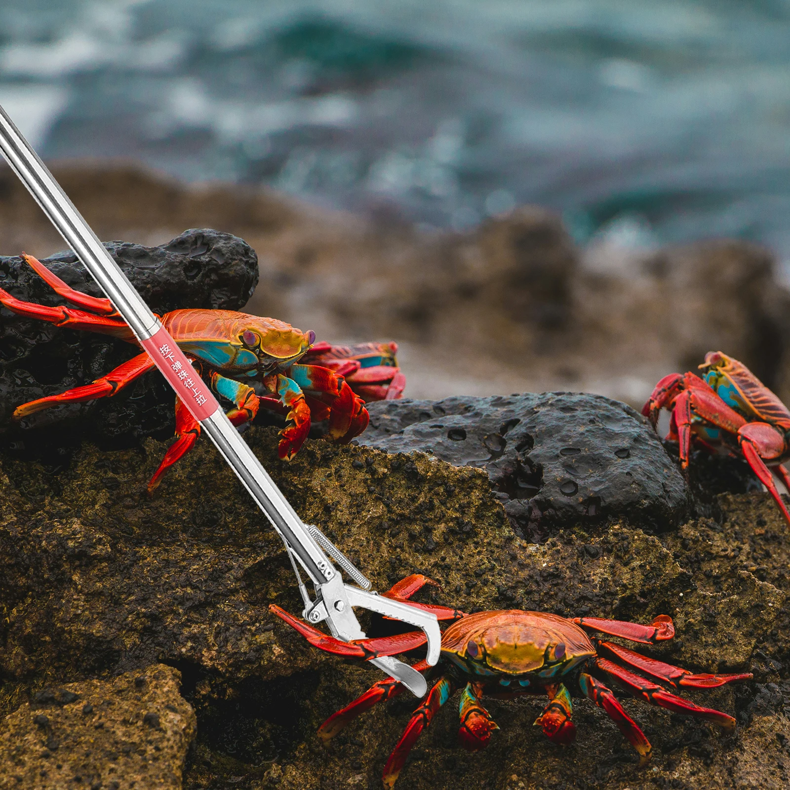 

Прямой зажим для рта из нержавеющей стали, эргономичный нескользящий уличный зажим для омаров, щипцы для краба, захват для угрей, многофункциональный