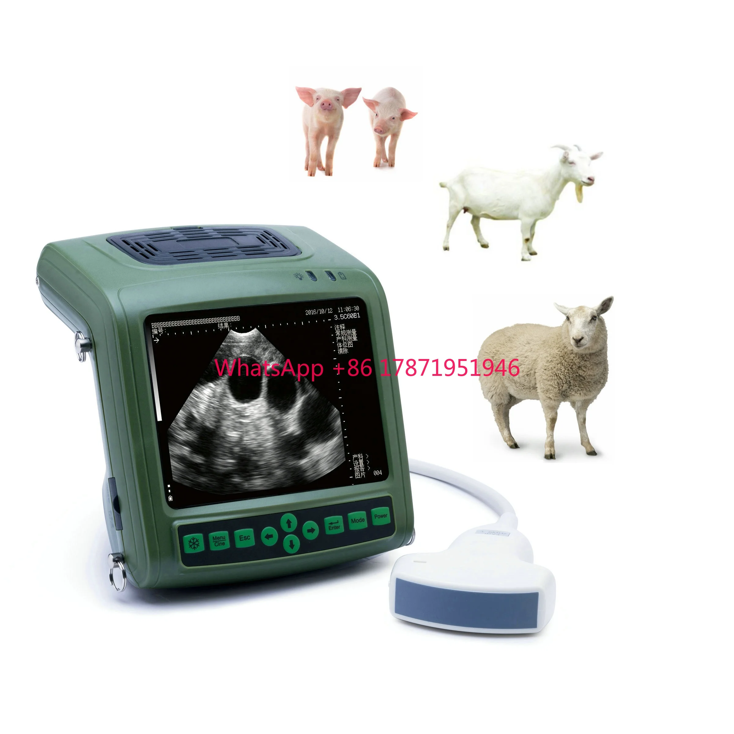 Handheld cheap portable veterinary ultrasound machine scanner ultrasound vet for pig sheep goat