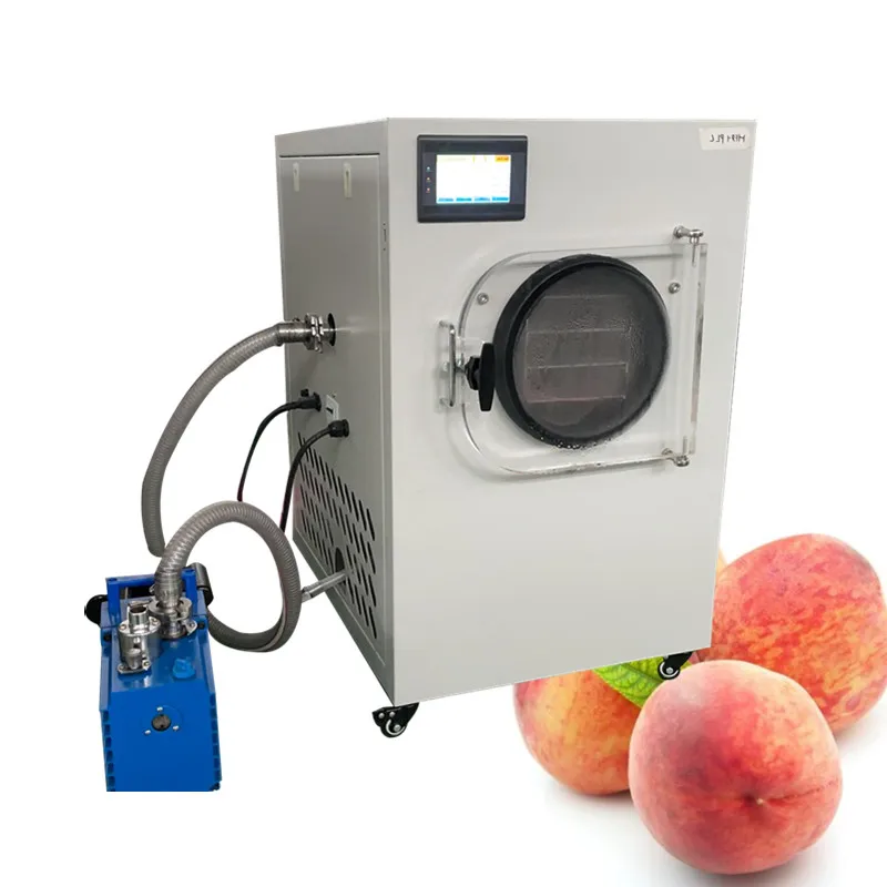 Small Home Use HDF-1 Vacuum Freezer Dryer Machine Fruit Vegetable Vacuum Freezer Equipment