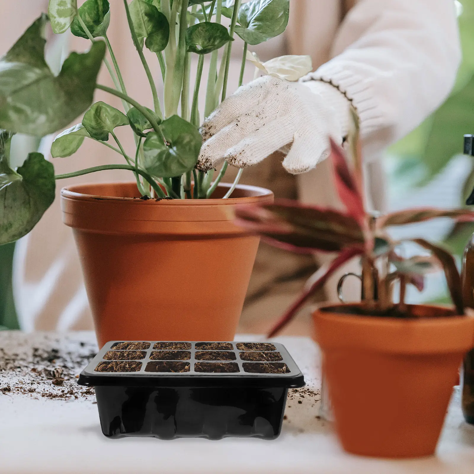 1 set Plastic Plant Nursery Pots Garden Indoor Seedling Halloween Christmas New Year Cell Seed Tray Plant Starter Kit 12-Cell