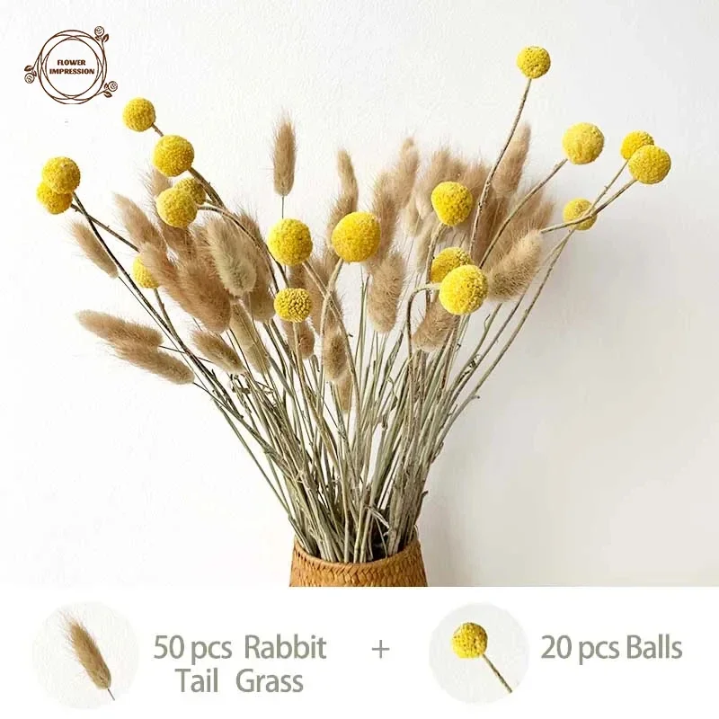 Natural Dried Flowers Eucalyptus Leaf DIY Cotton Flower Bunny Tail Grass Decoration Boho Home Table Accessories Artificial Plant