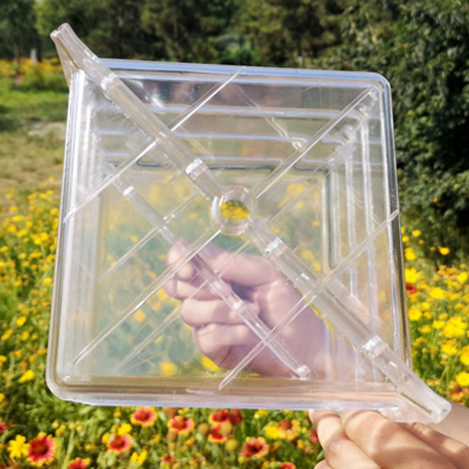 Moule en plastique transparent de grande taille, forme de cœur carré, pour la croissance des fruits