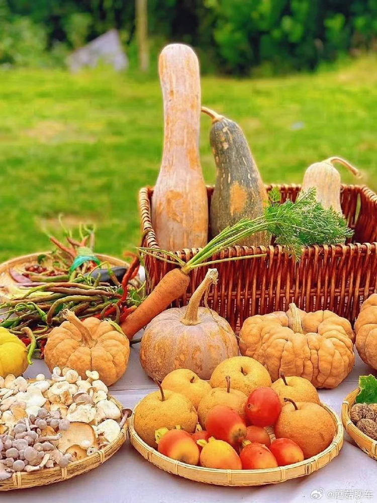 Luxury High Quality…