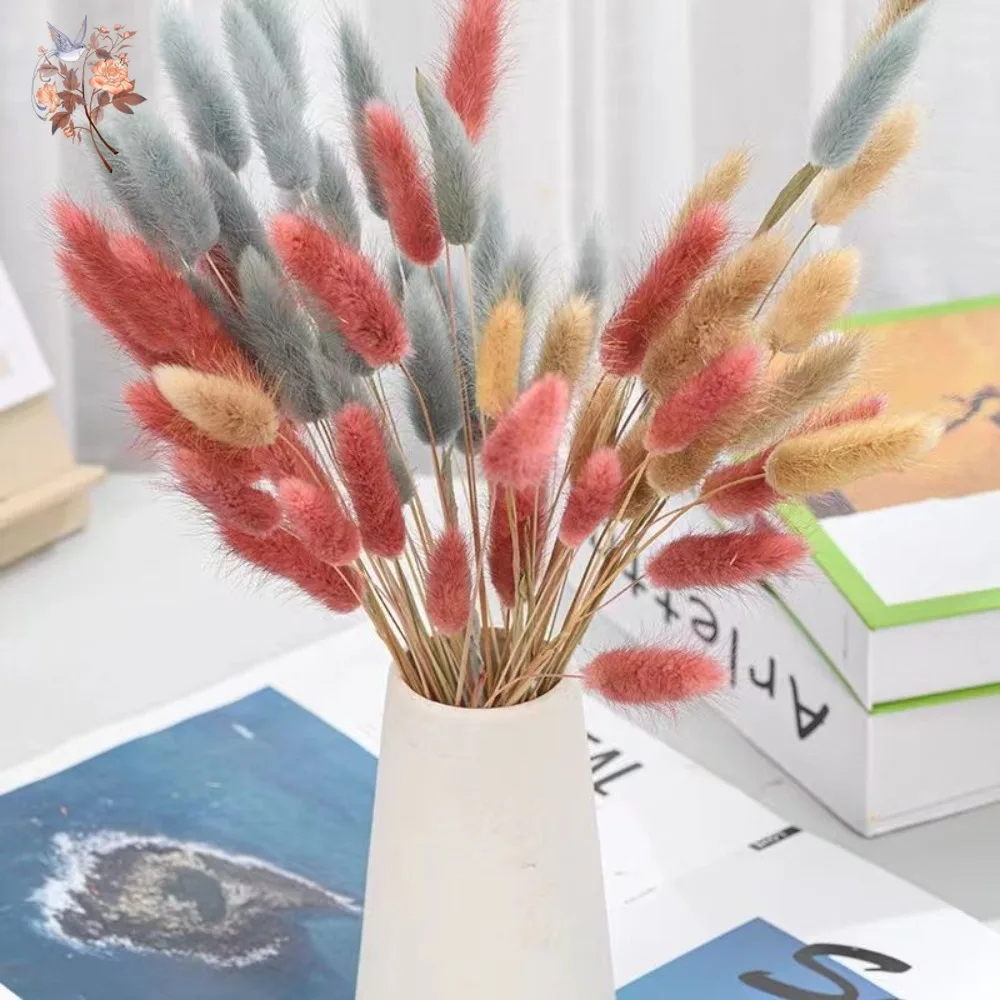 60Pcs Fluffy Bunny Rabbit Tails Grass Bouquet Home Decor Dried Flowers Natural Lagurus Ovatus Pampas Wedding Floral Decoration