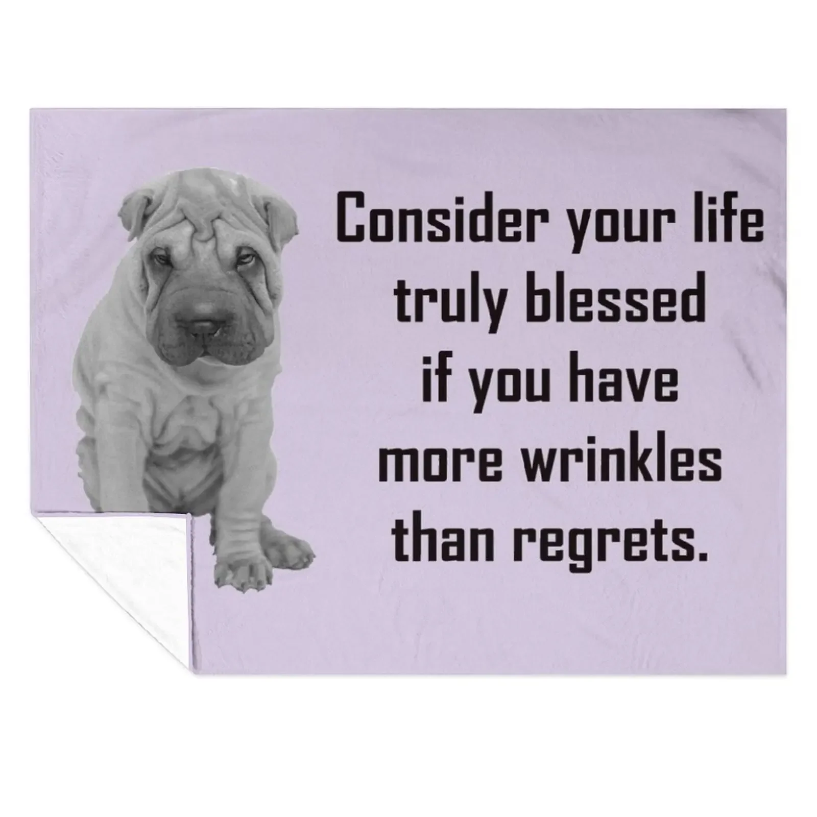 

Consider your life truly blessed if you have more wrinkles than regrets Throw Blanket Furrys Cute Plaid Blankets