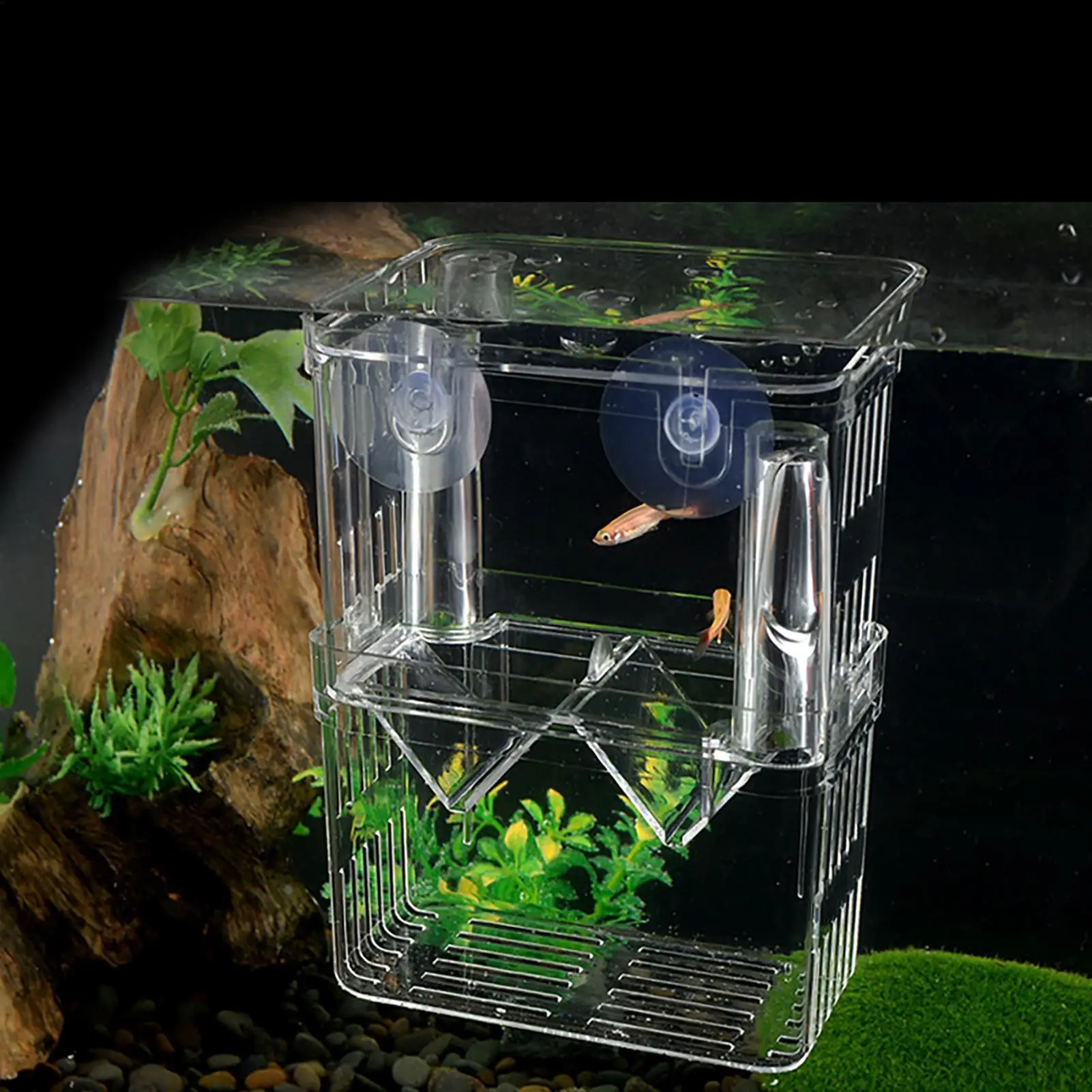 Fish Isolation Box Crystal Acrylic Fish Breeder Box For Aquarium Acrylic Aquarium Hatchery Incubator For Baby Fishes Shrimp