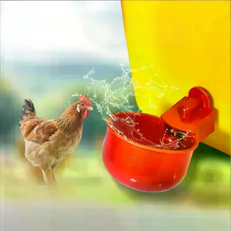 10/20Pcs Chicken Duck Drinking Cup Automatic Drinker Chicken Feeder Plastic Poultry Farm Water Drinking Cups Easy Installation