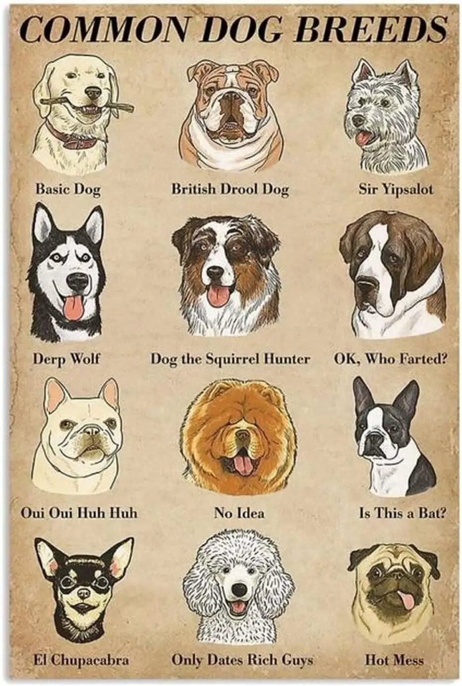 Common Dog Breeds Knowledge Metal Tin Signs Office Bedroom People Cave School Bathroom Living Room garage Cafe Kitchen Home sign