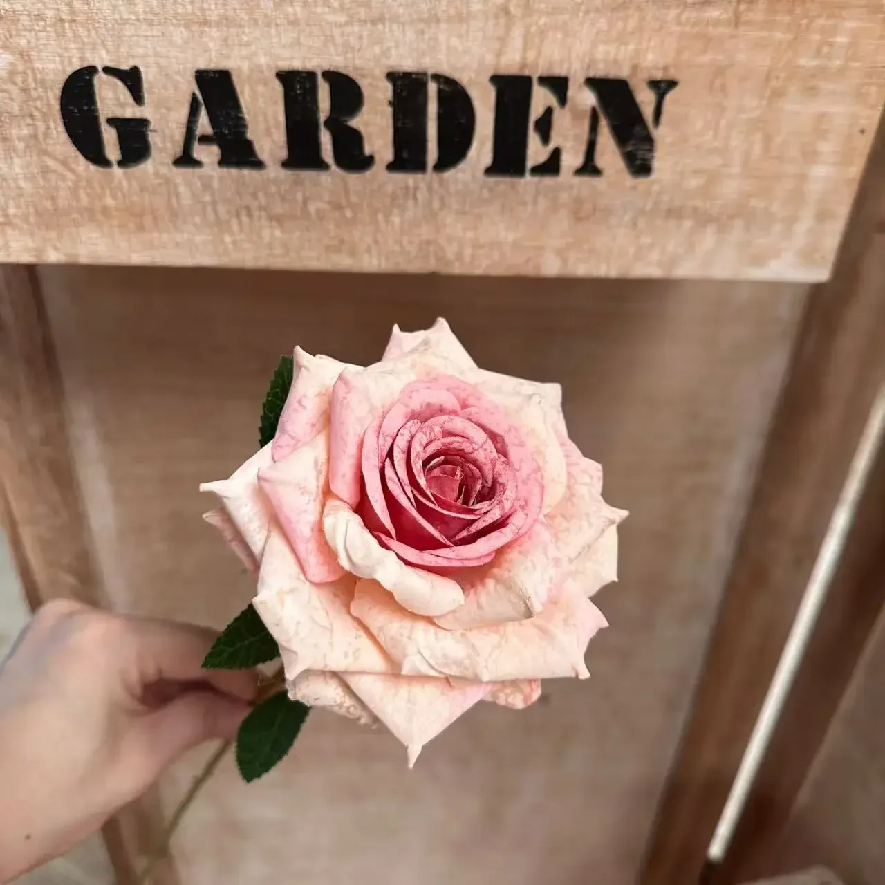 10/20 Stück Kunstblumen, Seidenrosen mit weißem, gewelltem Rand, Gartendekoration, künstliche Blumen, künstlicher Cappuccino-Rosenzweig, Kunstblume – Detail 14