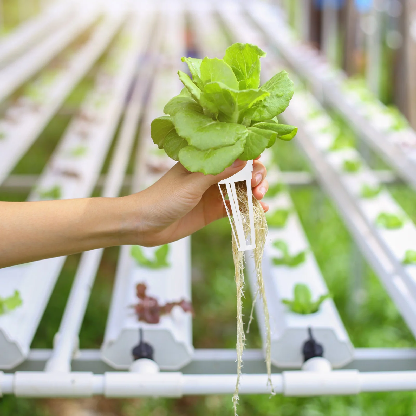 

50Pcs Plastic Planting Basket Hydroponic Baskets Soilless Cups Practical for Garden Vegetables and Plants Healthier Growth