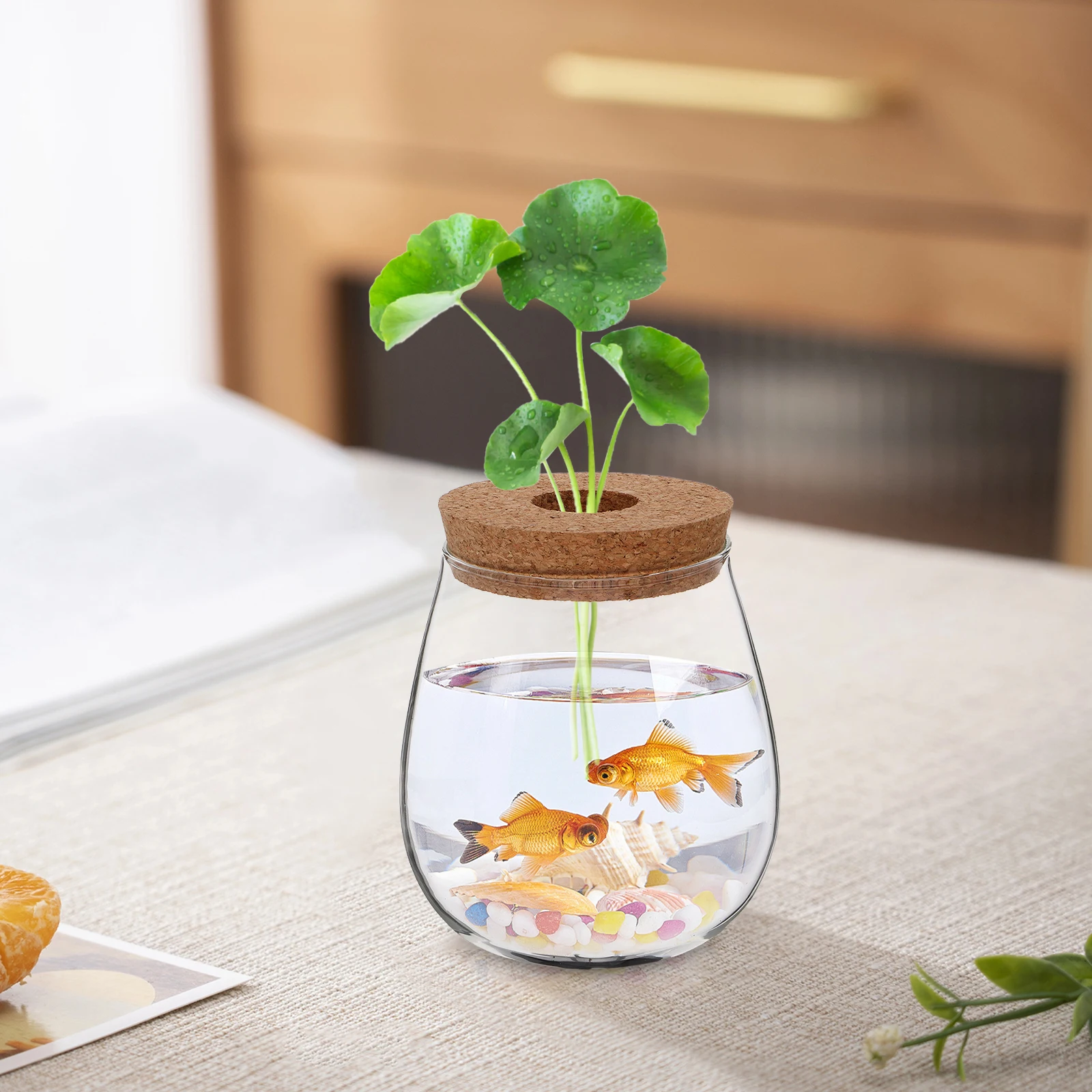 

Small Clear Hydroponic Vase Exquisite Design Non-Soil Planting Desktop Planter Low Maintenance Water Propagation