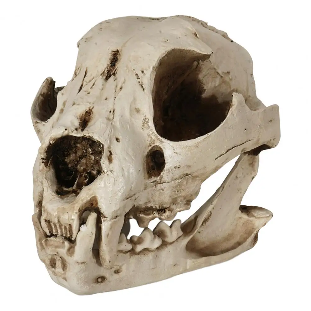 Halloween Dog Skull Ornament Dog Skull Ornament Resin Halloween Decoration Canine Skull Model Dog Bone Prop for Education