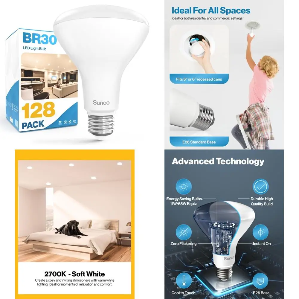 Led BR30 Recessed C…