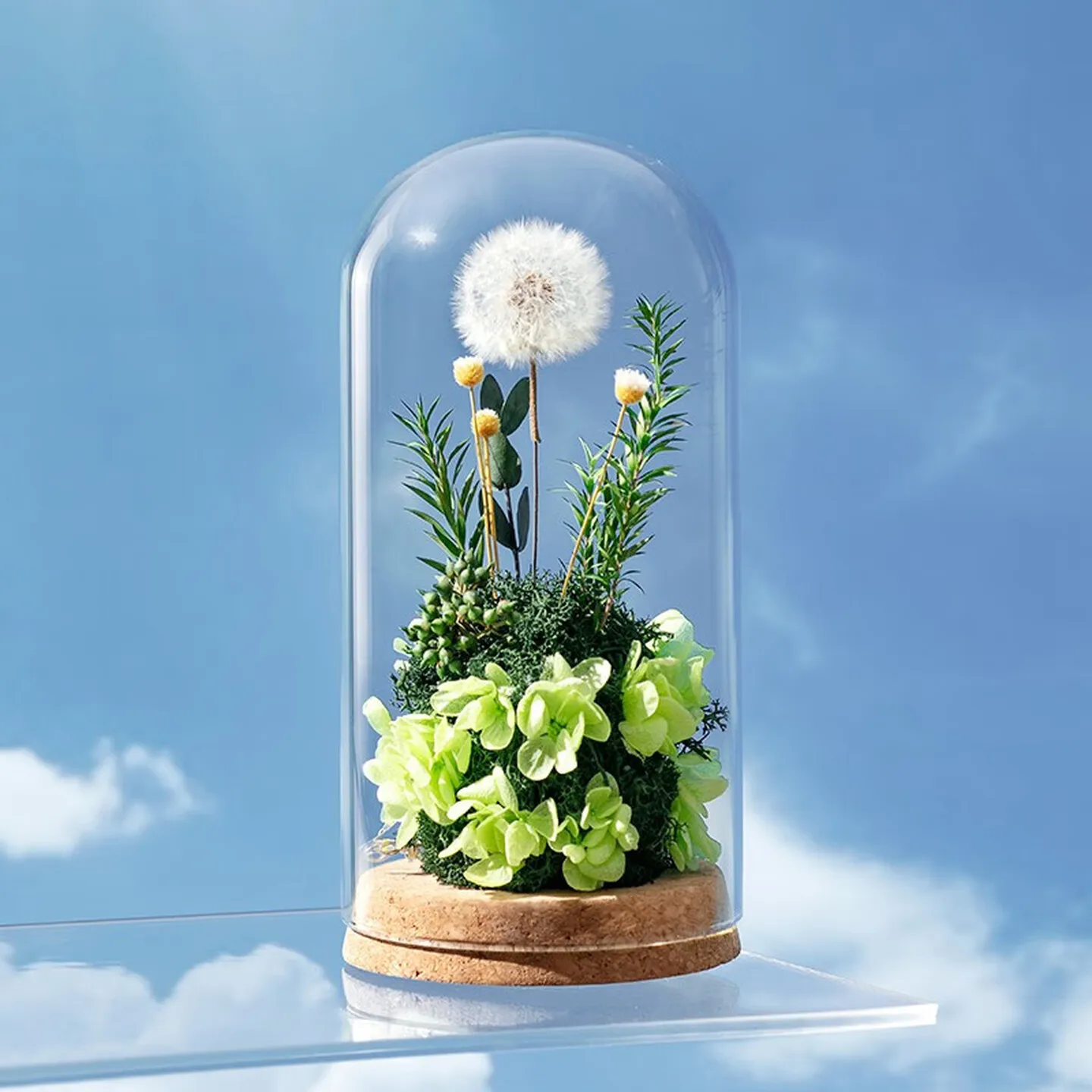 Preserved Dandelion Display in Glass Dome, Handmade Floral Ornament with 360 Degree View for Wedding Anniversary or Birthday