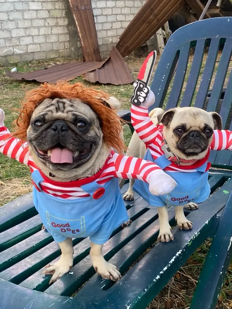 Halloween Lustige Hundekleidung Kleine Mittelgroße Hunde Katze Cosplay Haustiere Dress Up Welpen Pullover Chihuahua Kostüm Party Haustier Outfits