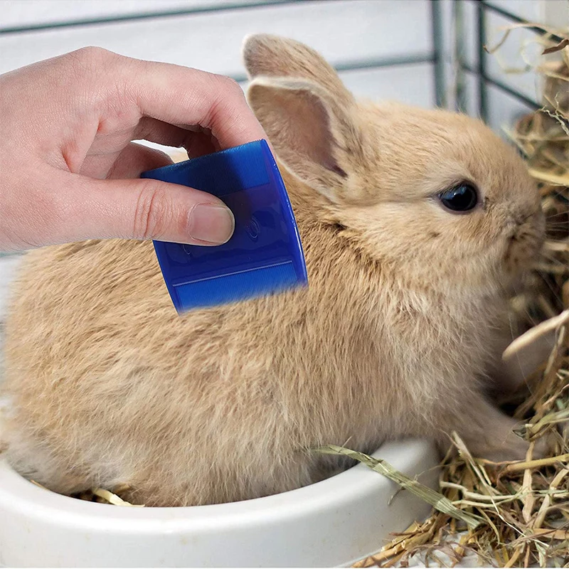 4Pcs Small Animals Grooming Kit Rabbit Hair Remover Grooming Brush Guinea Pig Shampoo Bath Brush Bunny Double Sided Flea Comb