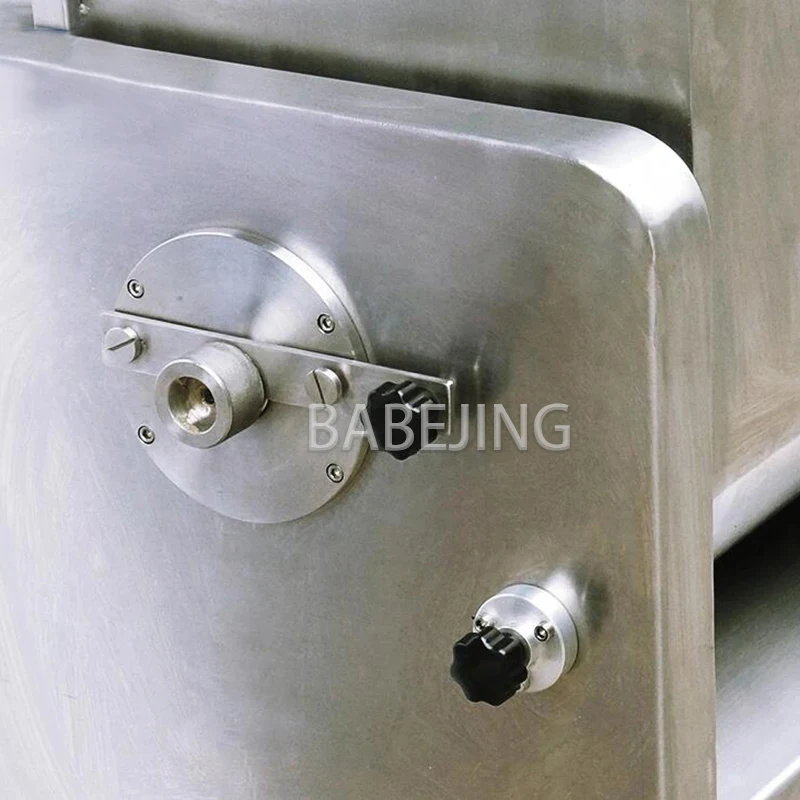 Impastatrice verticale per carne e spezie in acciaio inossidabile di alta qualità 110 V/220 V