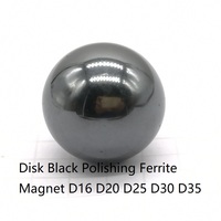 Y30 Magnetic Disk Black Polishing Ferrite Magnet D16 D20 D25 D30 D35 Ball Permanent Magnets Bucky