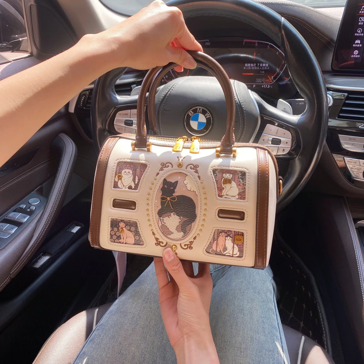 

Luxury and Vintage Handheld Boston Bag with Classic Contrast Color and Delicate Cat Printing Women's New Fashion Crossbody Bag