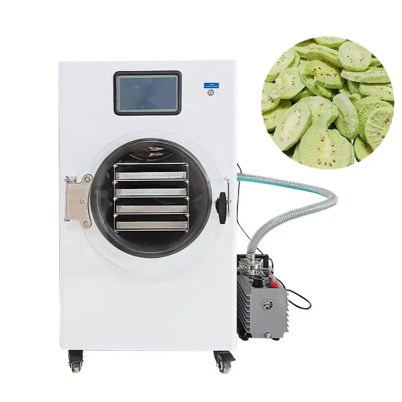 2024 New Arrival Professional Mushroom Fruit Vacuum Freeze Dryer Dehydrator Liofilizador Machine