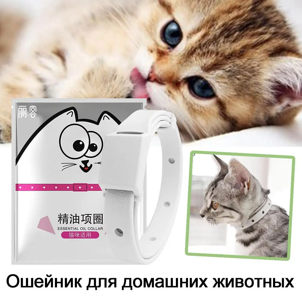 Antiparasitic Flea Tick Collar for Small Dogs Cats Adjustable Protection Insect Repellent Puppy Kitten Collar Accessory 1/3/5PCS