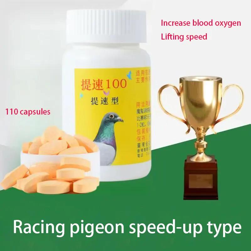 Medicamento para Pombos Speed up 100, dedicado a aumentar a resistência em corridas de pombos, pílula de aumento de velocidade, suplemento nutricional para pombos.
