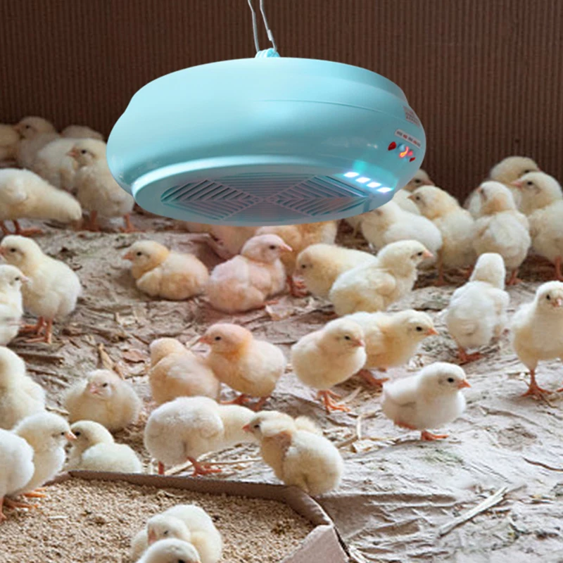 220V Pet Intelligent Remote Control Heater Pet Heating LampChicken and Duck Poultry Animal Warm Light Brooding Incubator