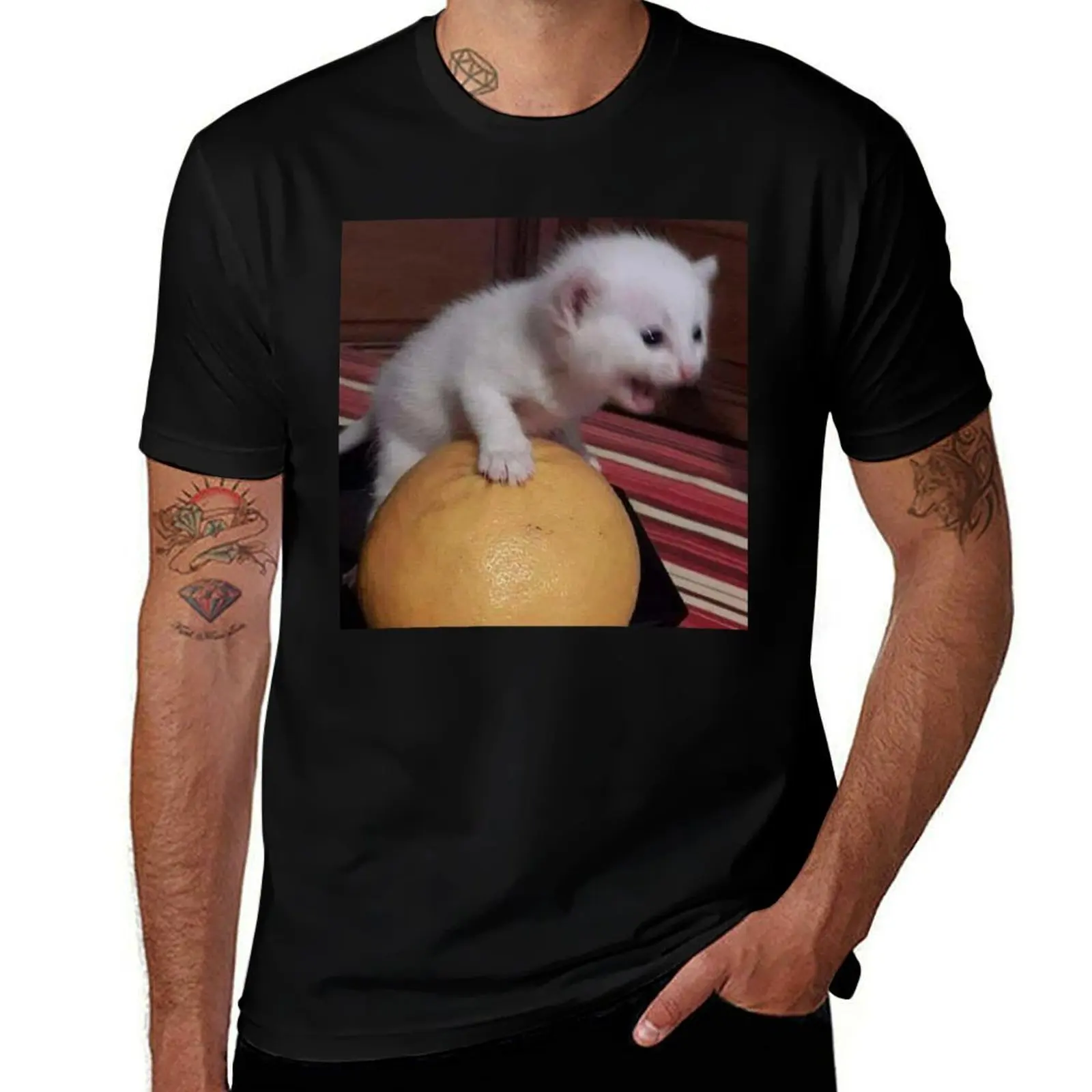 Kitten Screaming while Holding Orange T-Shirt Plus Size Solid Color T-Shirt
