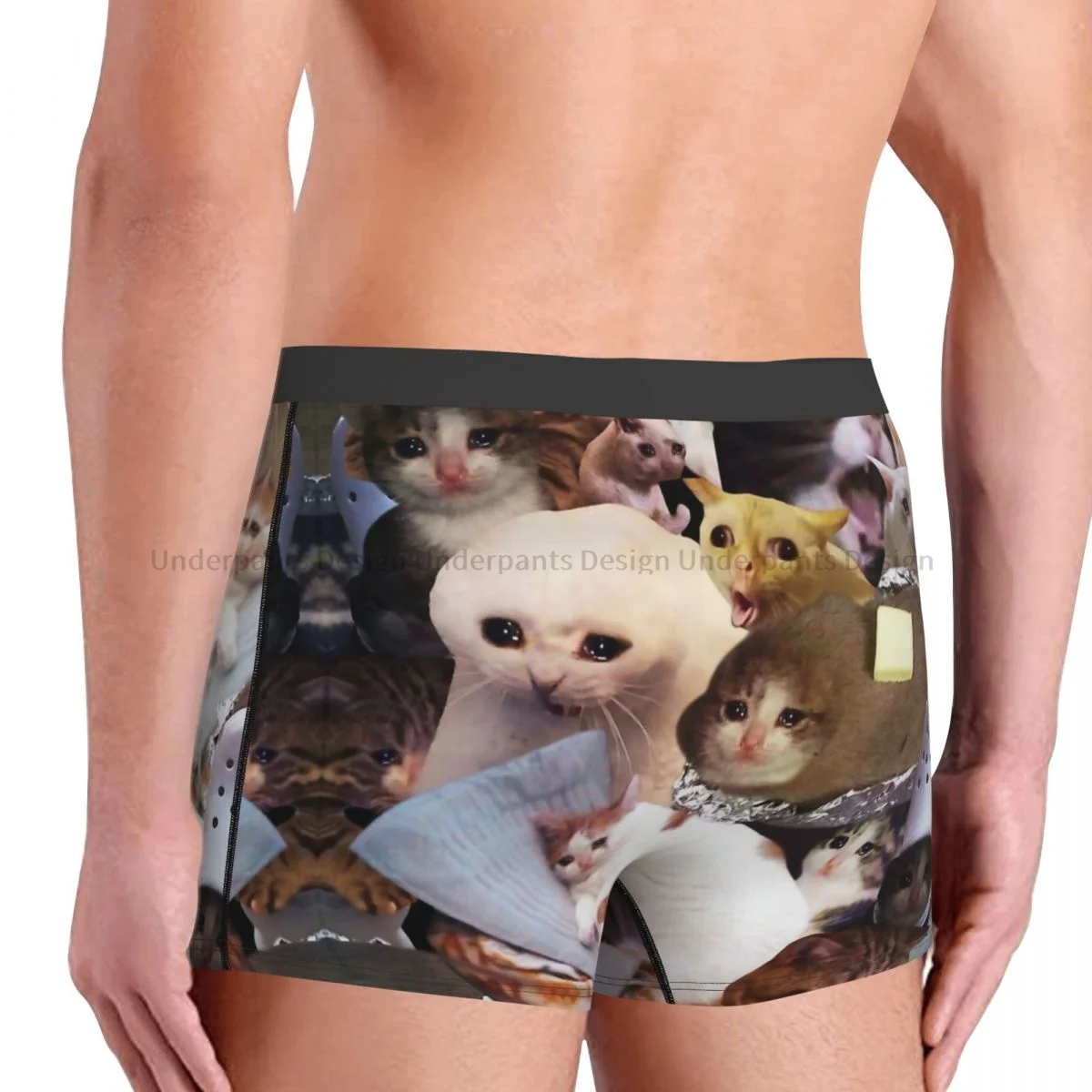 Crying Cat Memes Underpants Homme Panties Male Underwear Print Shorts Boxer Briefs