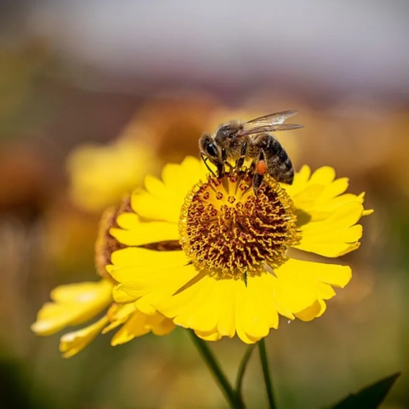 

9 шт. обновленные металлические детали для радиоуправляемого автомобиля Wltoys 12402a 1/12 4WD 2.4G