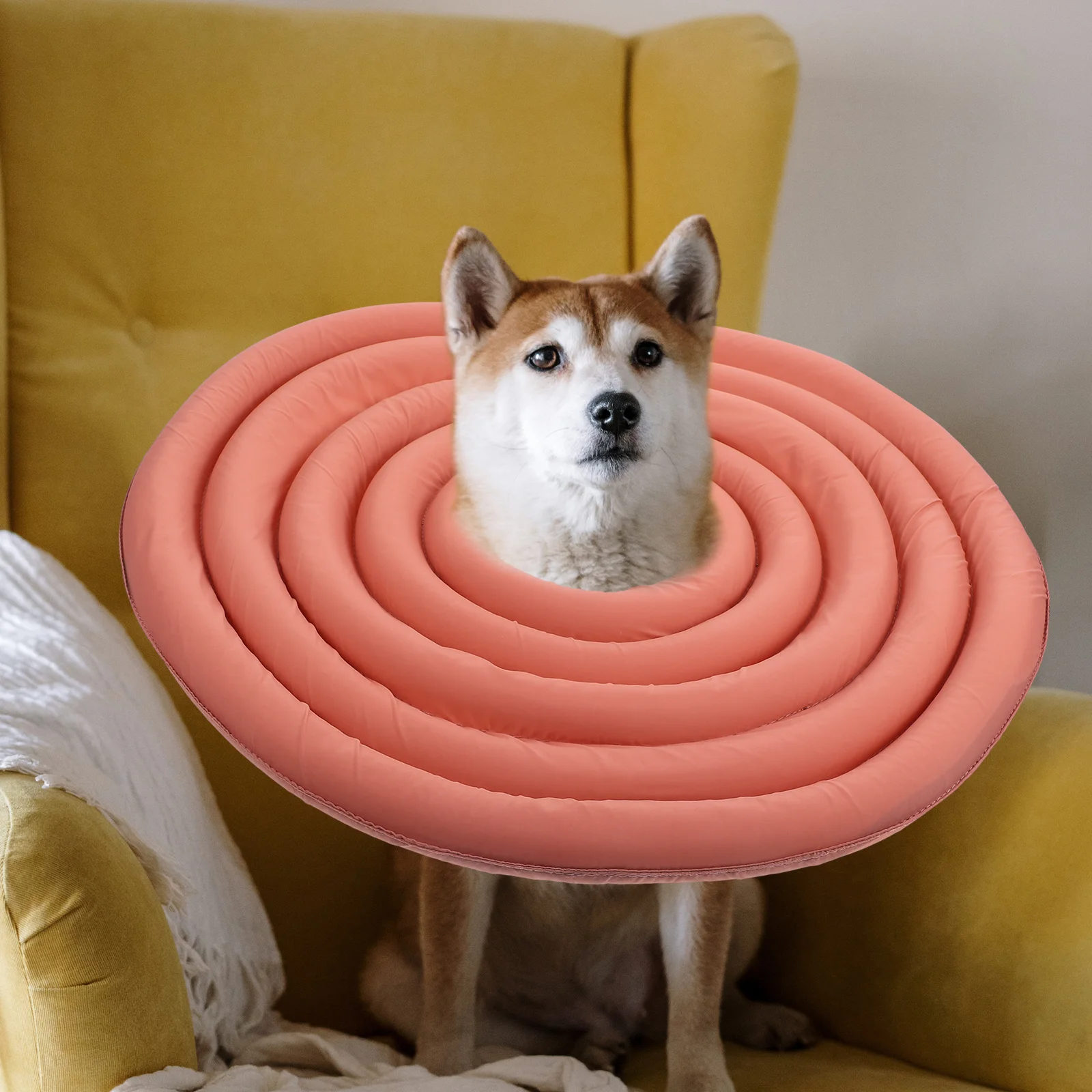 

for Dogs Elizabethan Necklace Protective Circle Nylon Pet Collar Cone Soft Recovery
