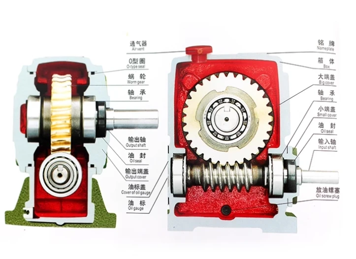 مخفض تروس الدودة من سلسلة WPA/WPS/WPO/WPX - عجلة دودة نحاسية كاملة (مقاسات 40-155 مم) #6