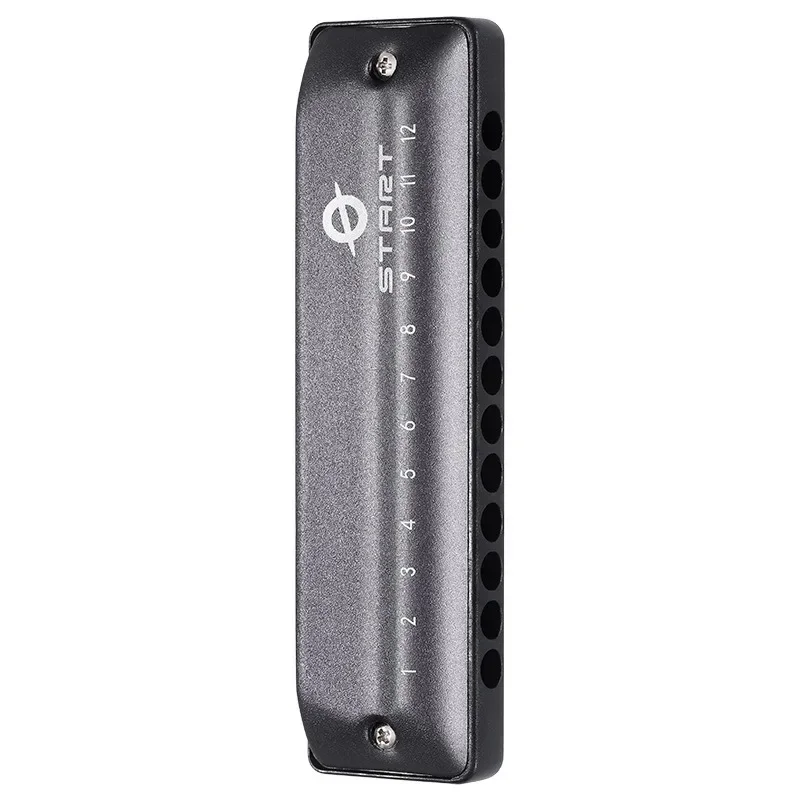 12-Hole diatonic harmonica 12-hole blues harmonica