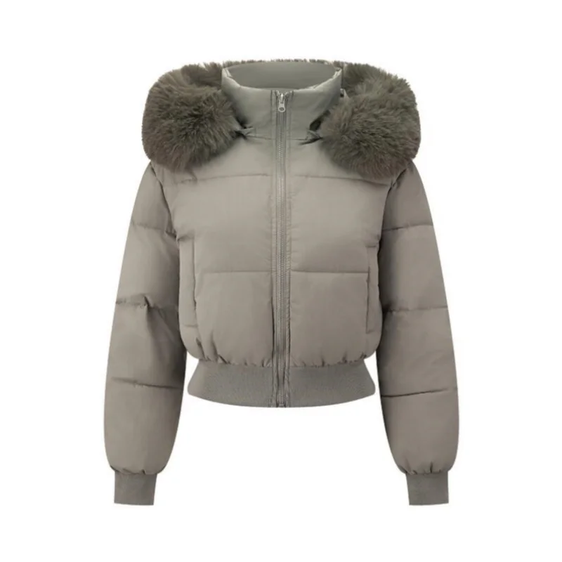 Dames dikkere korte winterjas Koreaanse stijl donskatoenen jas Casual warm bont Capuchon Cropped Parka's Chic Streetwear