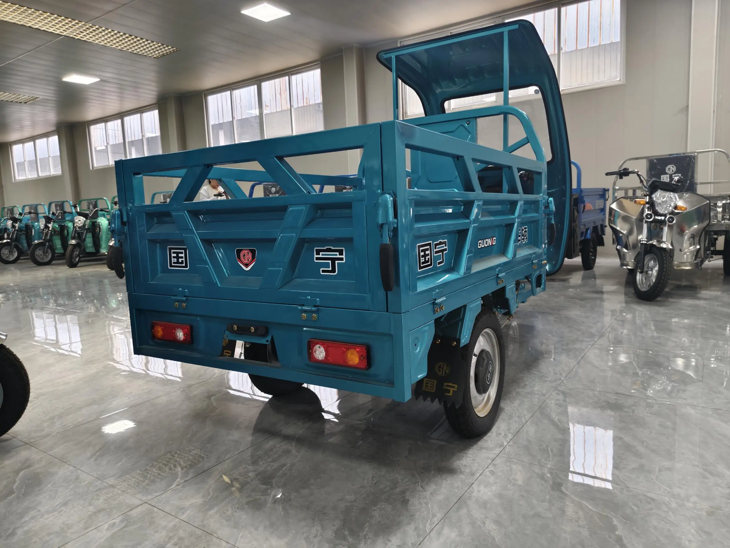 Clearance Sales Electric Cargo Tricycle 800W with a Sunshade No Door for Rural Transportation