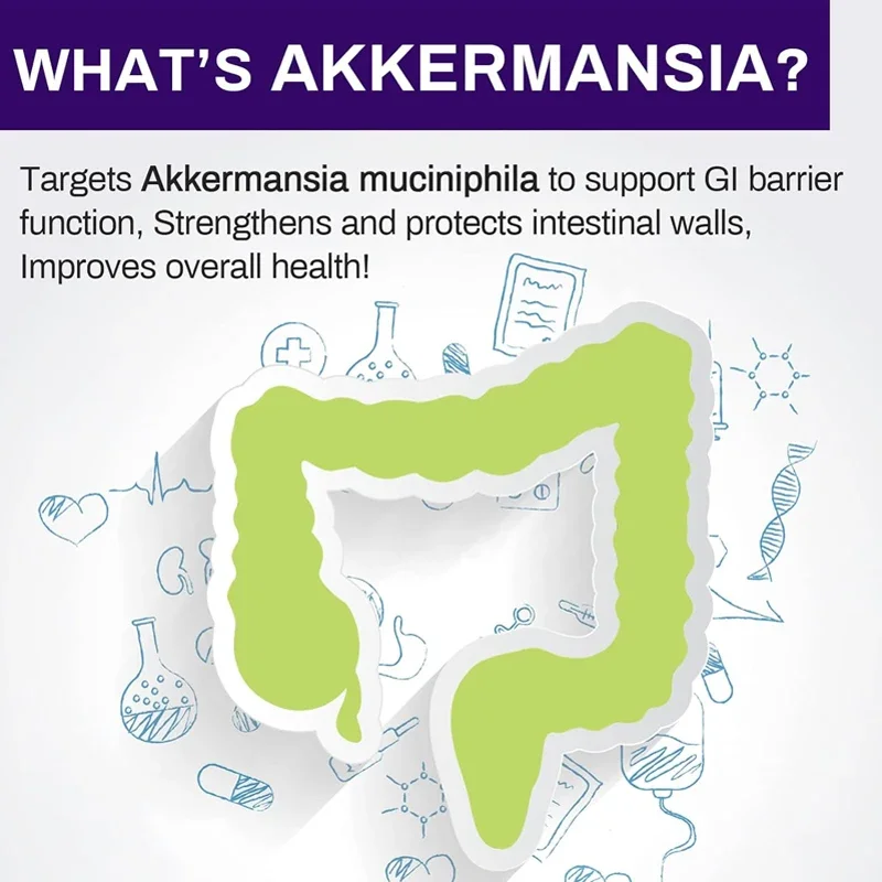 300 Billion AFU Akkermansia Muciniphila Live Probiotic Digestion, Gut, Immunity, and Overall Health, 60 Capsules