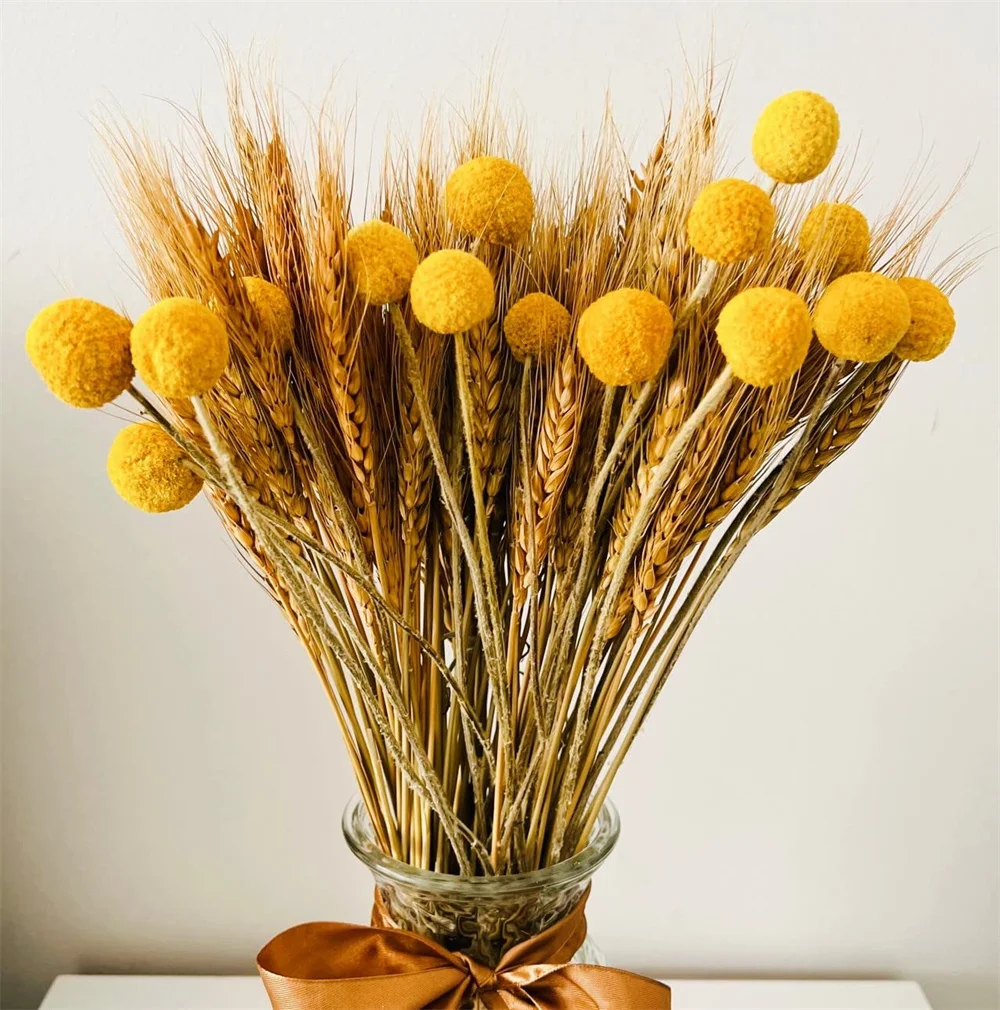 110pcs Dried Wheat Grass Yellow Billy Balls Buttons, Dry Flowers Bouquet,Wheat Stalks Bundles HomeDecorations,Fall Floral Decor