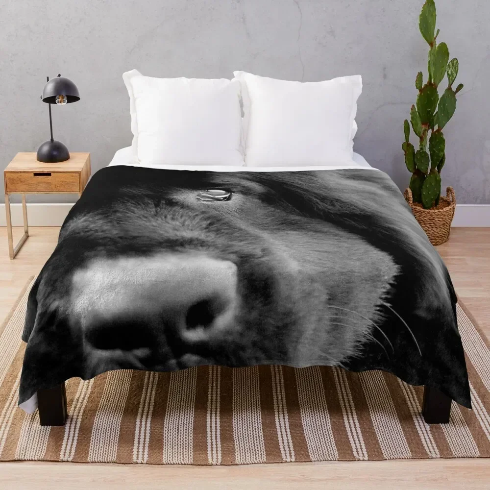 Macie Throw Blanket Spring Fall Cozy Throw Blanket for Couch