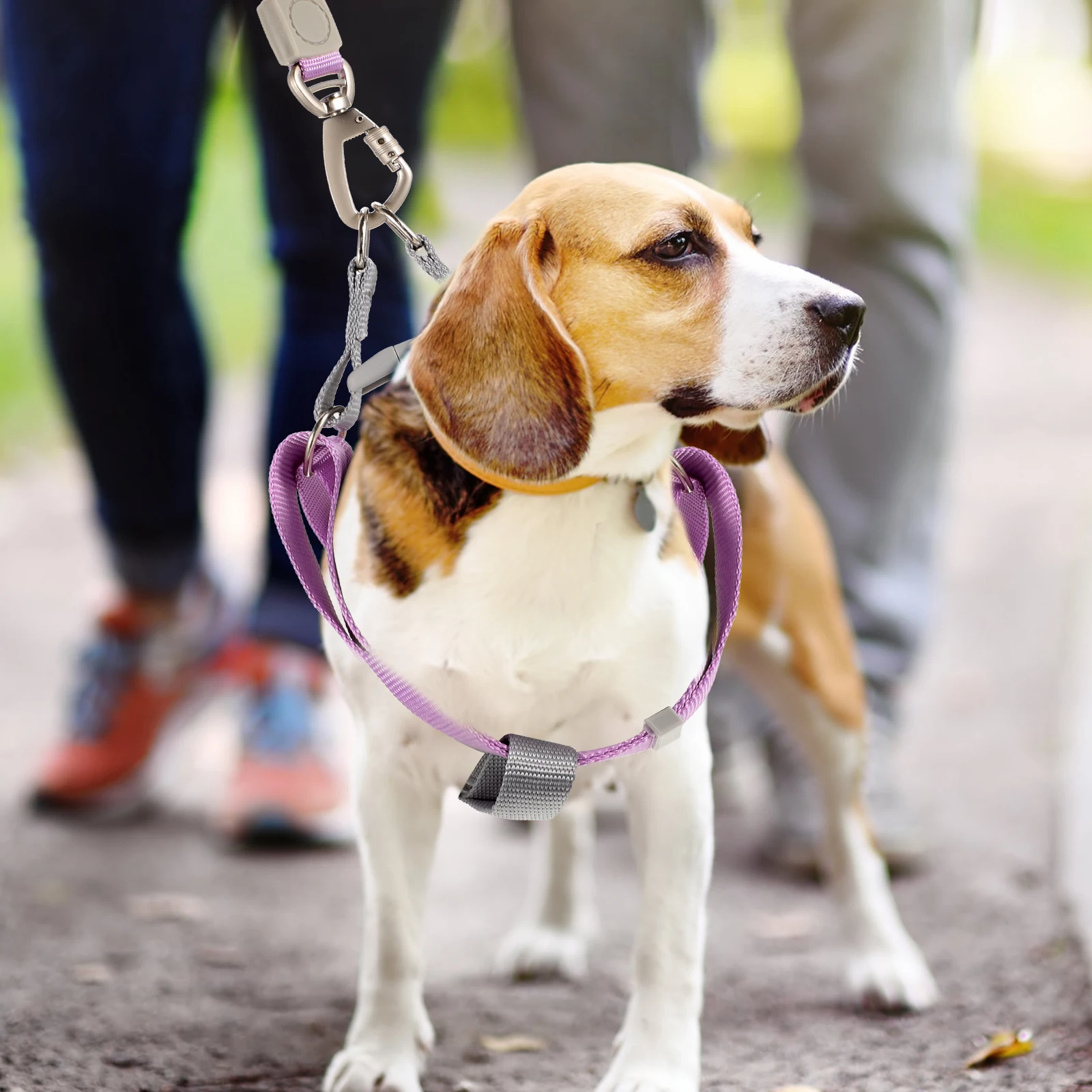 

1 Set Dog Harness Leash Escape Proof Adjustable For Small Dogs Outdoor Walking Puppy Training Pet Travel Compact Lightweight