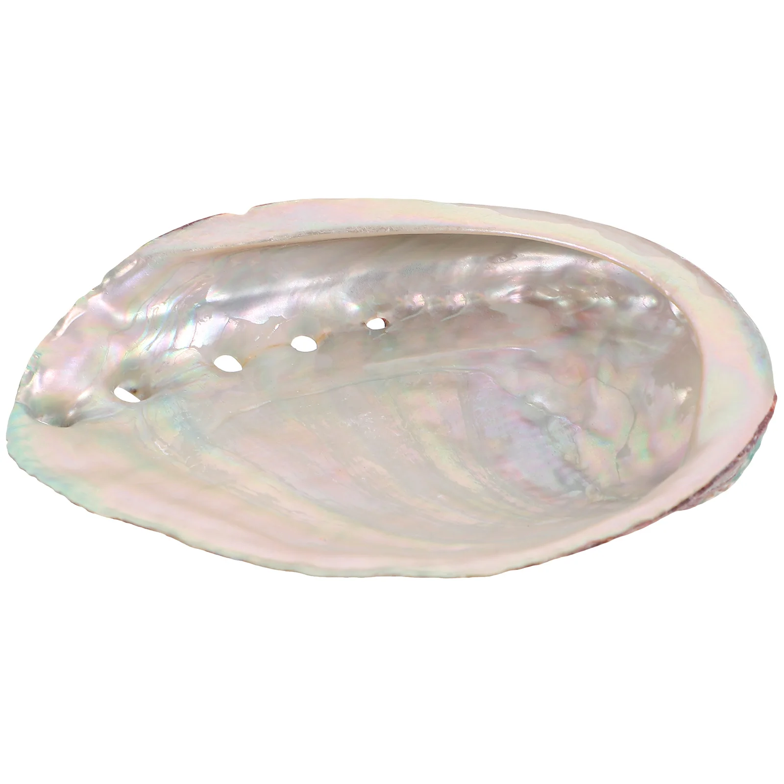 

Aromatherapy Stand Decoration Abalone Shell Ornament Offering Container Diffuse Decors Craft Rough Grass Burning Bowl