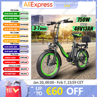 Hidoes C1 Folding Electric Bike 750W Powerful Motor 48V13AH Waterproof Lithium Battery E-Bike Adult City 20 Inch Tire E- Bicycle