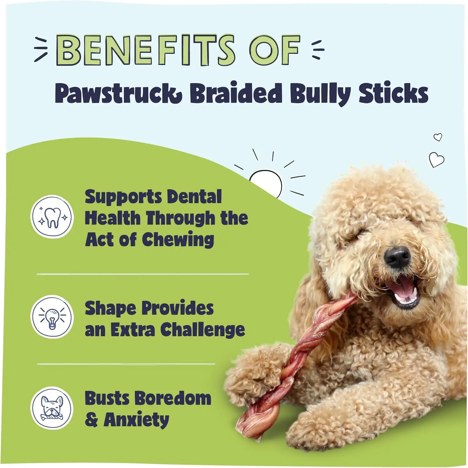Natural 12” Braided Bully Sticks for Dogs - Tough, Long-Lasting, Rawhide-Free, Low Odor