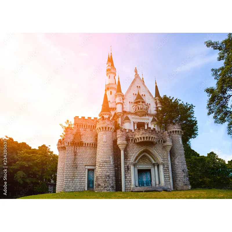 Fondo de paisaje Natural para fotografía, paisaje de viaje, castillo, accesorios de estudio, 211226 CB-03