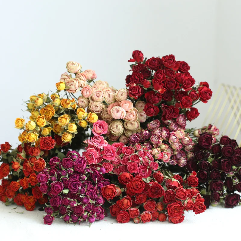 Thumbnail 2 - #50 Trending Dried Flowers Right Now