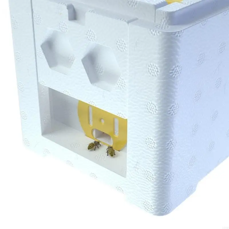   Small Queen Breeding Box for Home Apiary and Starter Users Tool