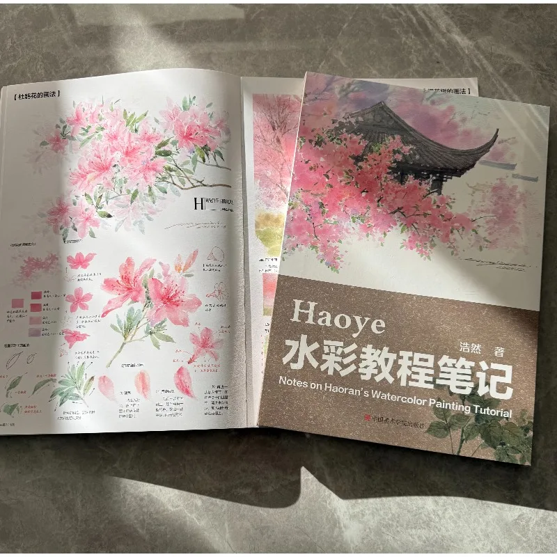 Haoye Watercolor Tutorial Book Watercolor Books for Beginners Tutorial Book