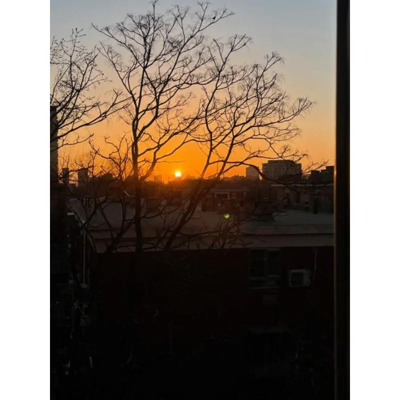 

Tiy 10 Pieces Car Care Tools Car Dent Repair Tools Dent Removal Tools Dent Removal Tool Car Unpainted Dent Repair Glue Labels