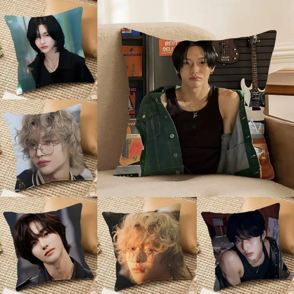 P-Park W-Wonbin singer Pillow Case Anti-dustmite Invisible zipper Sofa Bed