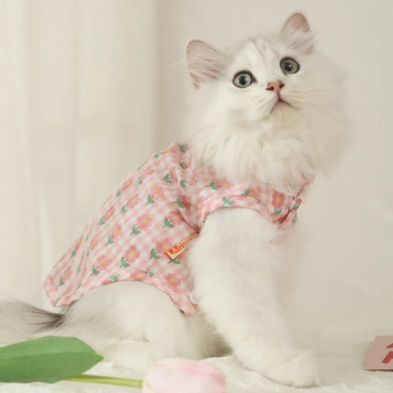 

Summer Thin Anti-Shedding Summer Vest Kittens Blue Cats Pet Cats Cute Kitten Clothes
