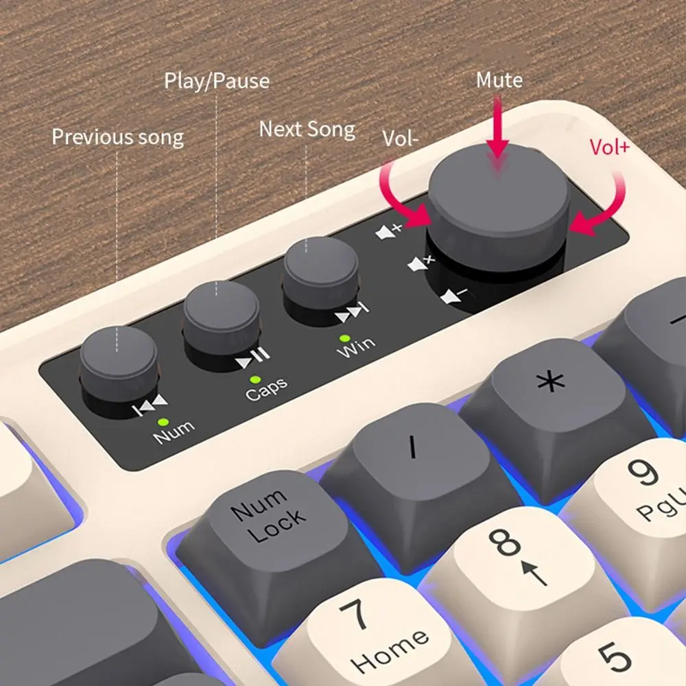 

Backlight RAIKU T98 Keyboard RGB Lighting Luminous Gaming Mechanical Keyboard Rainbow Color 98 Key Layout Office Keyboard Game